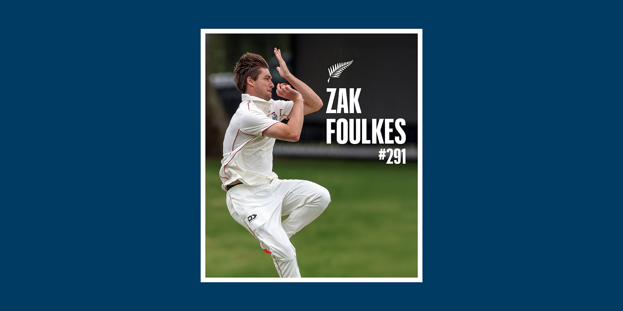 250808 Cricket