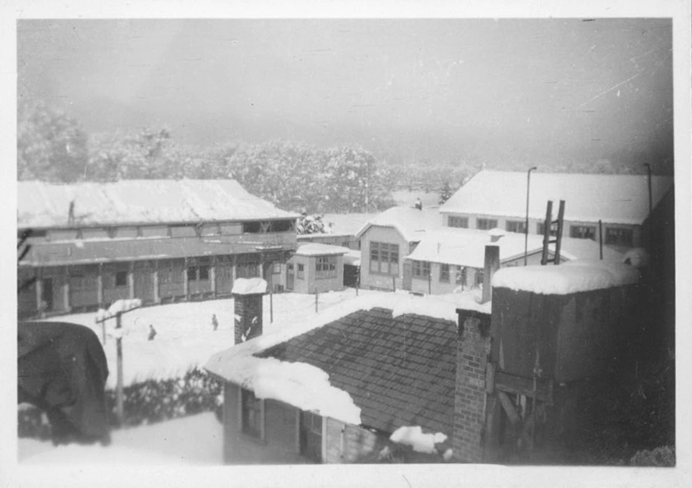 Snowy Quad