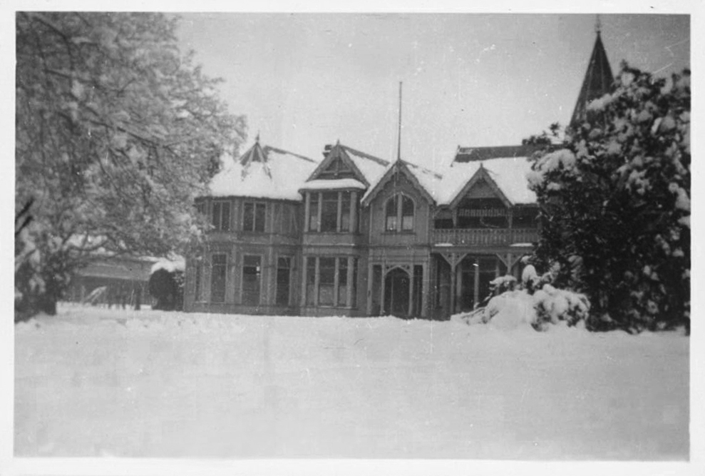 Snowy Strowan