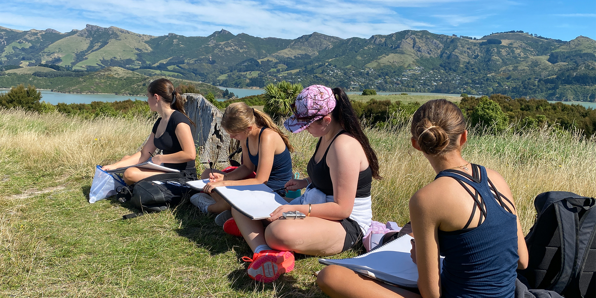 260320 Y11ArtQuailIsland 20260315 231610088 iOS