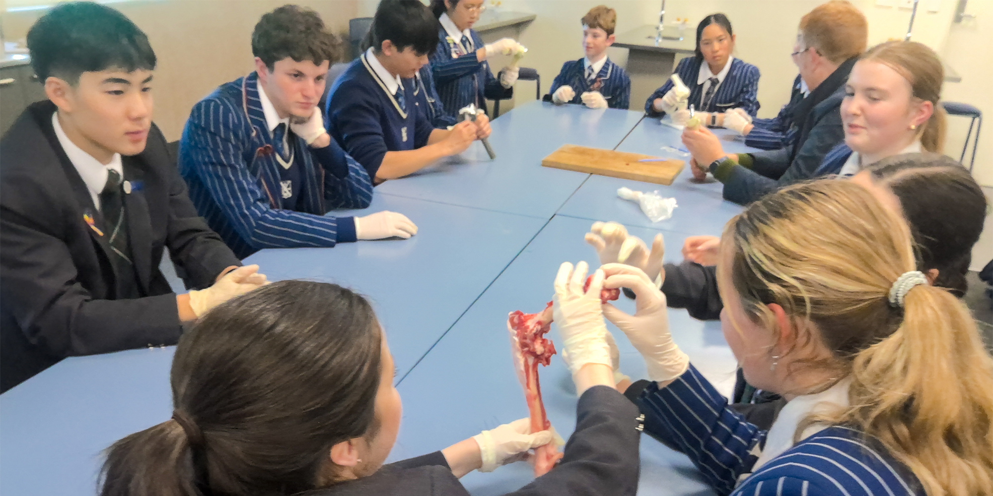 260626 Y13 Biology 10
