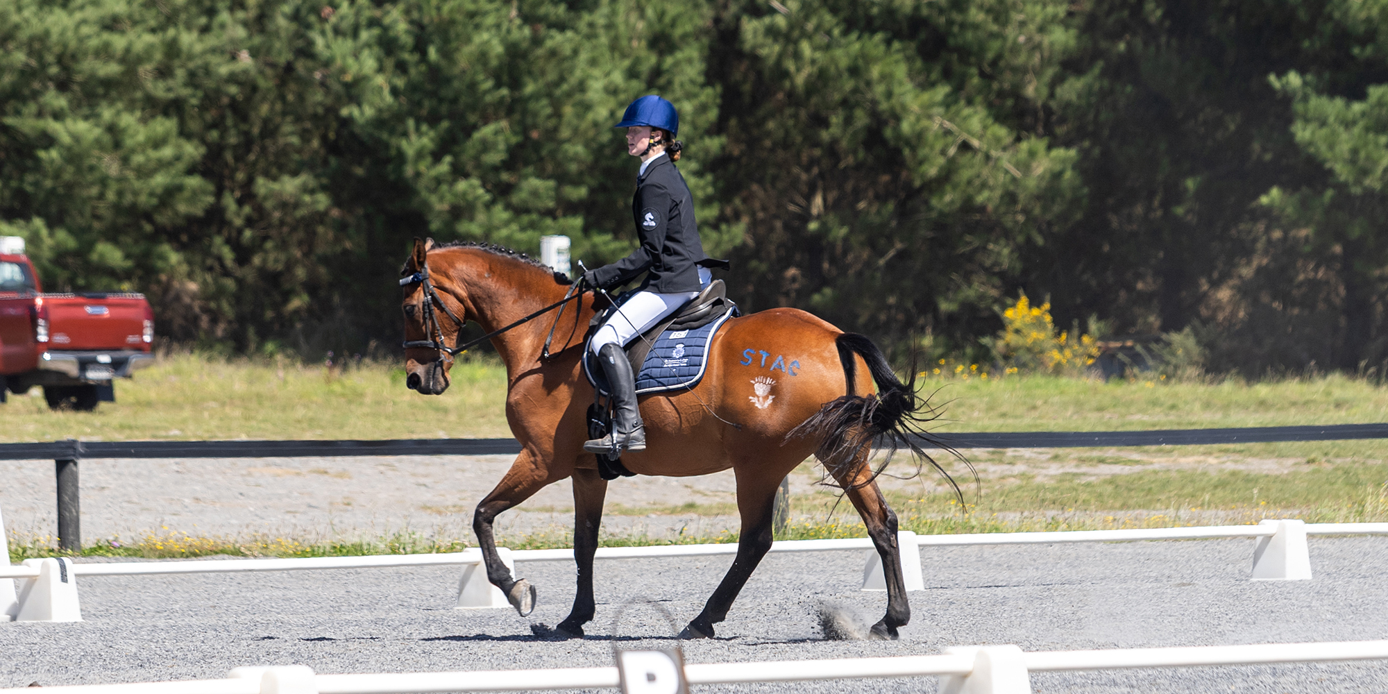 260227 CSSDressage IMG 9746