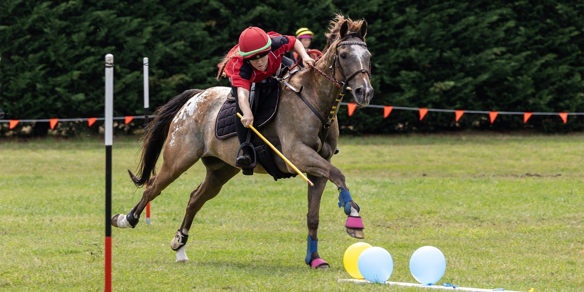 260130 Georgia Lewis Equestrian